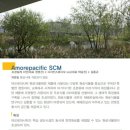 아모레미용재료