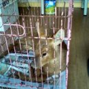 풍지동물병원 이미지