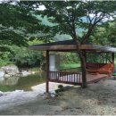 신개발부동산공인중개사사무소 네이버블로그