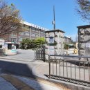 국화동성 이미지