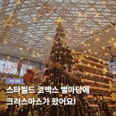 즐거운도서관 | 스타필드 코엑스몰 별마당 도서관 위치 서울 크리스마스 트리 꿀팁 놀거리