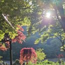 고래사냥펜션 이미지