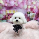 효동 이미지