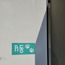 퍼피그램 이미지