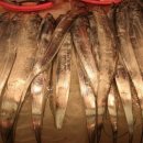 백도민박 이미지