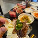 [신중동 맛집]내돈내산, 차돌박이 전문점 돌배기집 후기