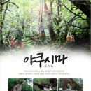 11월27(금)~30/야쿠시마 그 원시숲길 트레킹여행[야쿠시마 항공왕복+럭셔리온천호텔3연박] 이미지