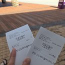 카페424 | [강원도] 하이원리조트 "케이블카" +"구름닮은카페" 방문 최신후기