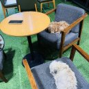 애니멀필드2 이미지