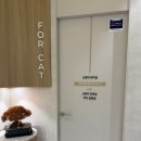 김해시여성센터 화장실 | 김해 율하동 동물병원 고양이 전문 르엘동물의료센터 방문 후기