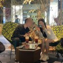 플랙갤러리아