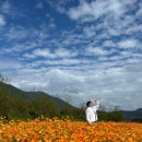 꽃단지 화장실 이미지