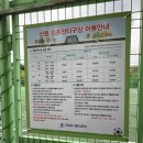 신원인조잔디구장 티스토리