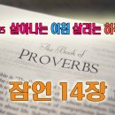 (주)팀씨