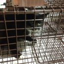 공덕초교 이미지