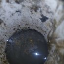 먹자골식당 이미지