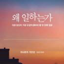 스마일크린 이미지