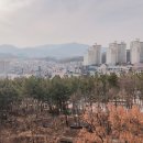영남네오빌 네이버블로그