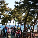 곡성-033 이미지