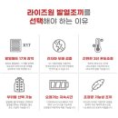 라이즈원 이미지