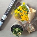 공도읍사무소 | 혼인신고서 작성법, 2026년 안성시 신혼부부된 썰과 혜택 총 정리