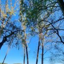 우포의 숲속 | 가을에 걷기 좋은 길, 창녕 우포늪 생명길 3시간 코스 후기