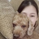 딩굴딩굴