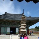 팽고 팽고 이미지