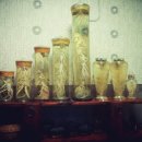 옥천 해뜨는집 가든 이미지