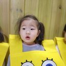 아이콩-네모 네모 스펀지밥 이미지