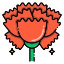 꽃블리 - 안양시 동안구 관평로182번길 23 | 꽃블리