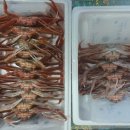 친구수산 이미지