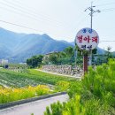 동강별아래 이미지