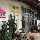 원조3대할머니순두부 이미지