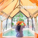 가평라포레계곡수영장가족펜션 | 경기도 가평 펜션 신상 글램핑 계곡 수영장 키즈 글램핑장 추천