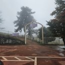 기쁨목장 | 남해 상상양떼목장 이용꿀팁 🐑🌿 자연과 동물이 함께하는 힐링 여행