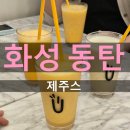 동탄 타임테라스 카페 추천 제주스 내돈내산 후기
