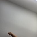 양평맑은피부과의원 네이버블로그