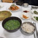 해성식당 | 하동 해성식당 내돈내산 솔직후기 | 하동 섬진강 재첩국 맛집 모둠정식 추천