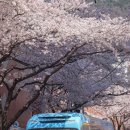 쌍용스윗닷홈 15246 이미지