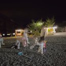 돌고래풀하우스 이미지