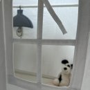 11500-6-42-05 | 육아일기42 | 아기텐트 • 낮잠 아기띠 졸업 • 집밥 노력중 • 회복의 일상 • 휴식데이