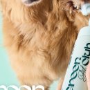 그린펫클럽 이미지