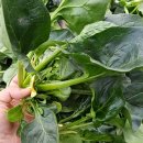 산의농장 이미지