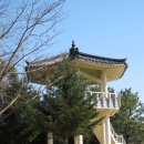 경상남도수목원전망대 이미지