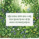 청명상사