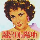 젊은이의 양지 A Place In The Sun , 1951 제작 미국 | 드라마 외 | 15세이상관람가 | 122분 감독조지 스티븐스 출연몽고메리 클리프트, 엘리자베스 테일러, 셸 이미지