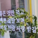 포퍼피(FOR PUPPY) 이미지