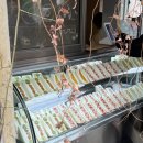 산도브레이크노동조합 | 연희동 딸기산도 맛집 연희 에스프레소 바 후기 ㅣ 연희동 산보하다가 딸기산도 해치운 나🍓