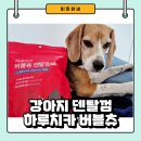 이든덴탈 이미지